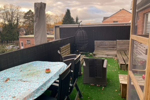 Terras +1