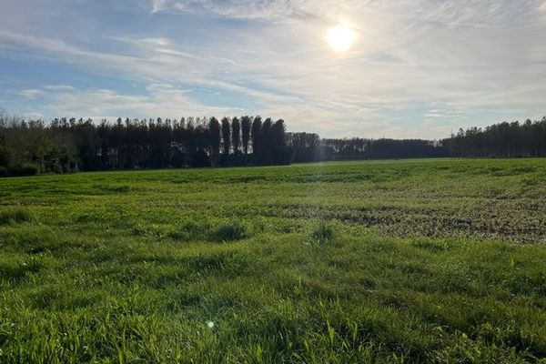 Grond te koop / Halen