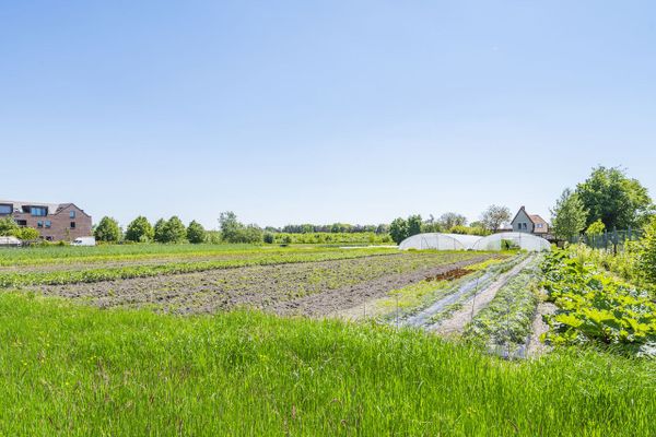 Assistentiewoning  te koop / Eeklo