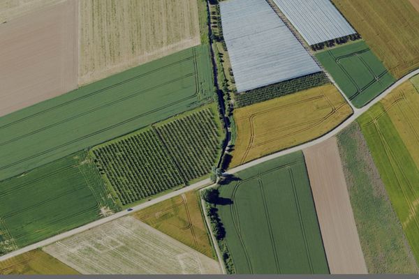 Grond te koop / Sint-Truiden