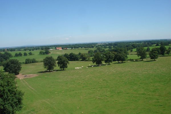 Huis te koop / Liernolles