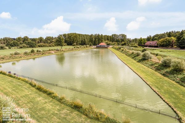 Commercieel te koop / Messelbroek