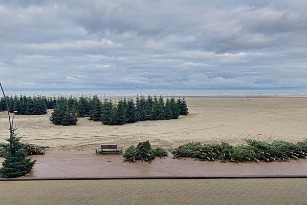 Appartement
                            verhuurd in Oostduinkerke