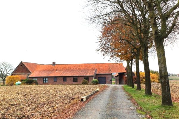 Woning
                            verhuurd in Otegem