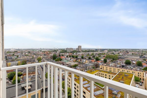 Estate main image