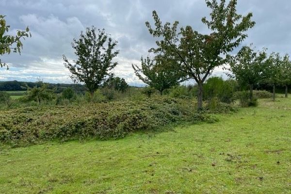 Grond te koop / Loksbergen