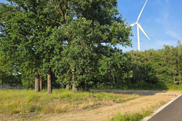 Commercieel te koop / Hasselt