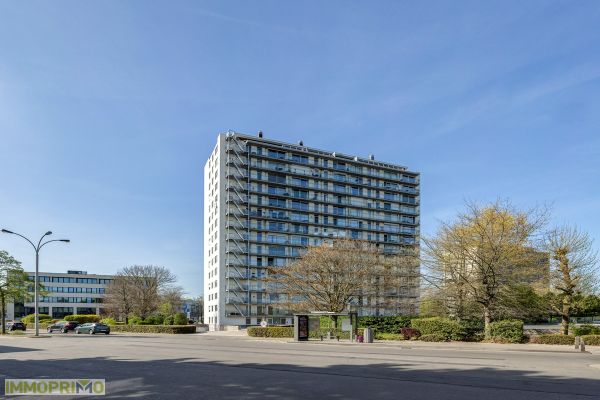 Appartement
                            te koop in Berchem