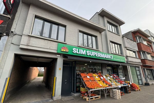 Opbrengsteigendom
                            te koop in Mortsel