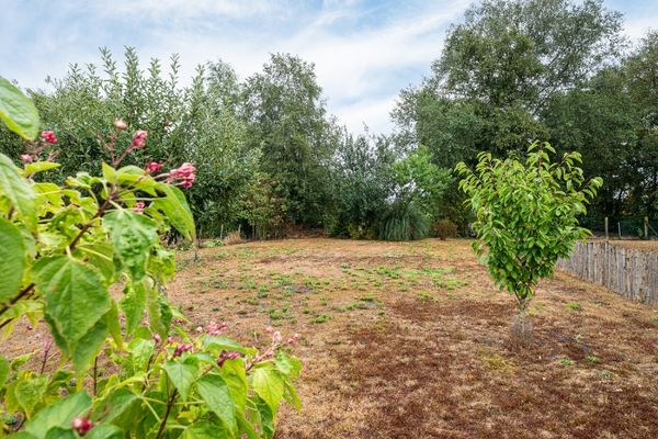 Huis te koop / Maldegem