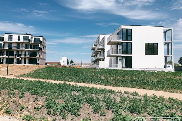 Appartement
                            verkocht in Zwevegem