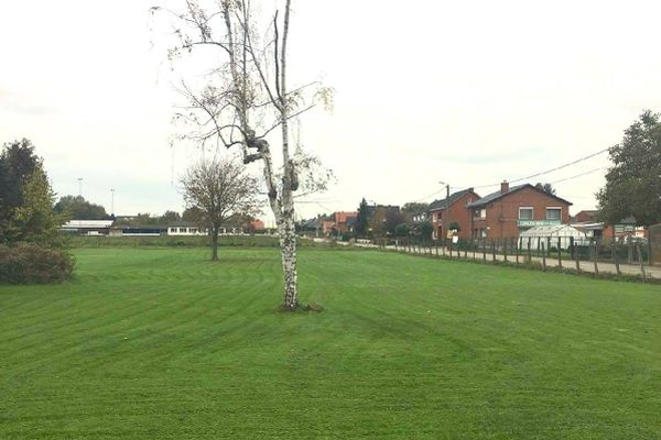 Bouwgrond
                            verkocht in Drieslinter