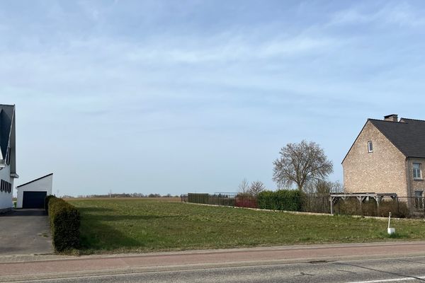 Estate main image