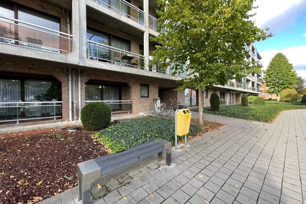 Handelspand
                                te koop in Hasselt