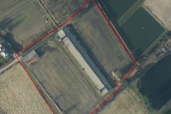 Bedrijfsgebouw
                            te koop in Begijnendijk