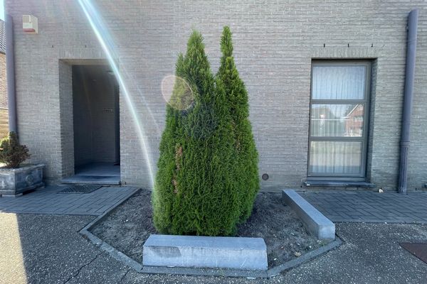 Appartement te koop / Diepenbeek