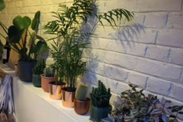 Appartement te huur / Gent