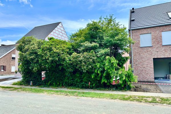 Bouwgrond
                            te koop in Blaasveld