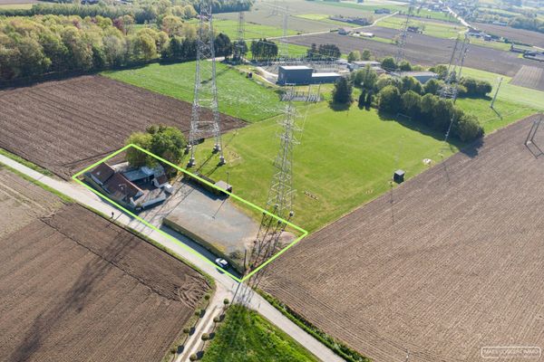 Handelspand te koop in Wortegem-Petegem