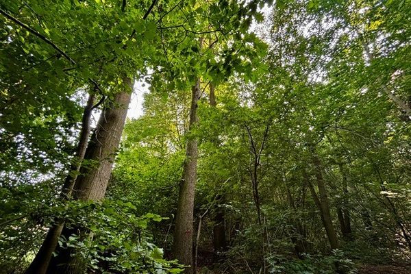 Grond optie koop / Kersbeek-Miskom