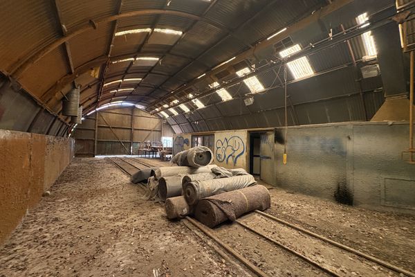 Industrieel te huur / Hasselt