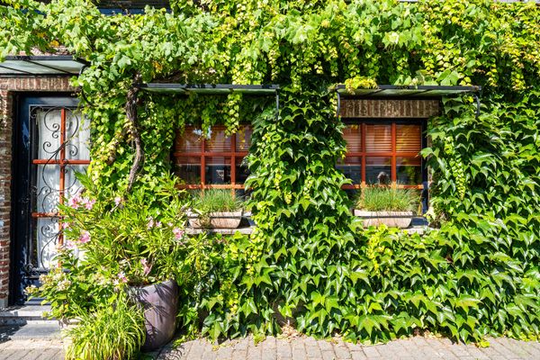 Huis te koop in Eeklo