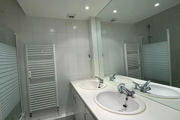 Appartement te huur / Wilrijk