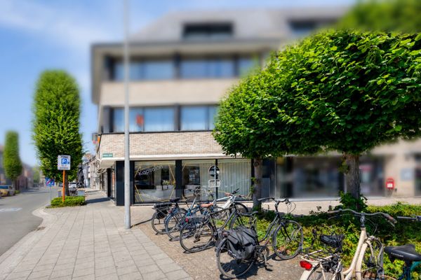 Handelspand
                            te koop in Sint-Kruis