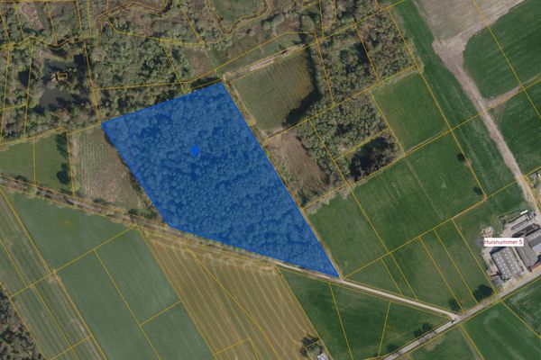 Bosgrond
                            te koop in Bocholt