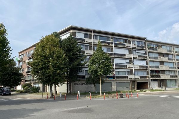 Estate main image