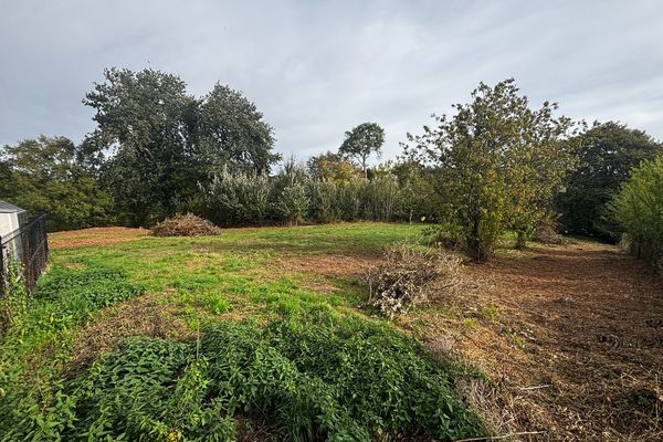 Terrain
                                a vendre
                                in Vezin