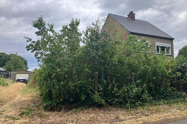 Grond te koop / Paal
