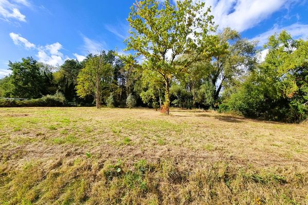 Estate main image