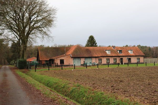 Hoeve
                            optie koop in Poppel