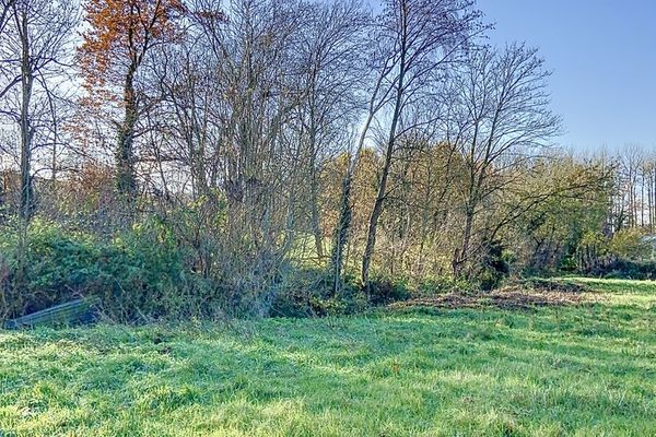 Grond te koop / Klein-Gelmen