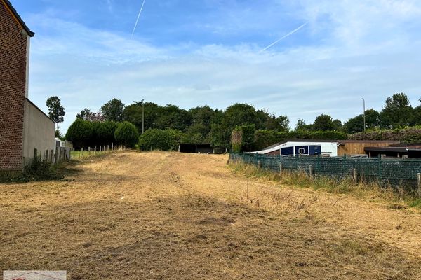 Estate main image