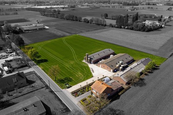 Hoeve
                            te koop in Kalmthout