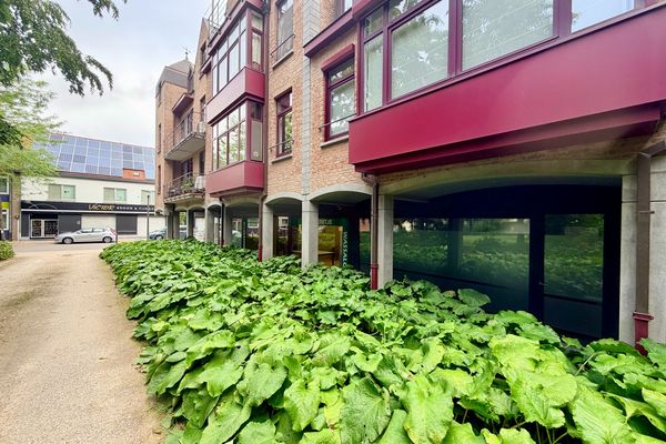 Handelspand
                            te huur in Stasegem