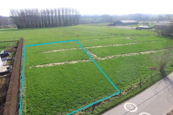 Grond optie koop / Horebeke