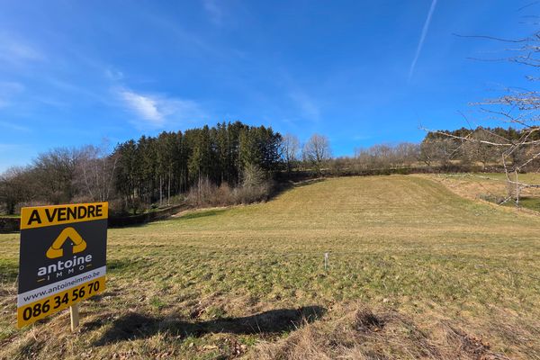 Terrain
                            a vendre in Manhay
