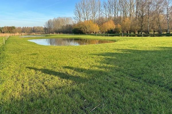 Recreatiegrond
                            te koop in Moerzeke