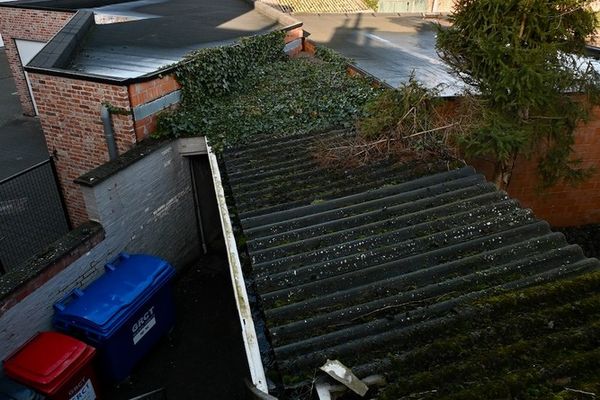 Commercieel te koop / Nijlen