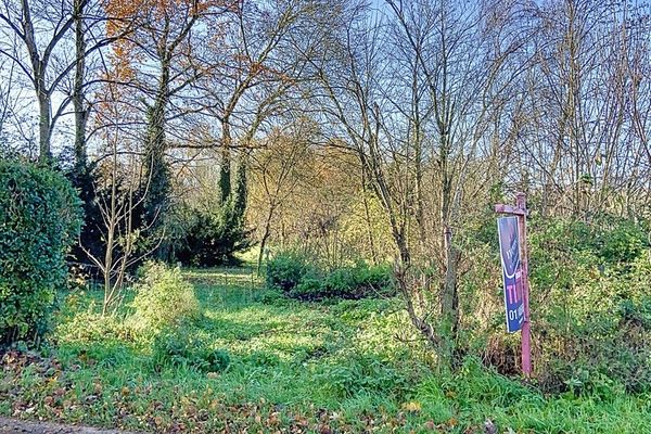 Grond te koop / Klein-Gelmen