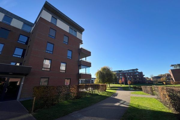 Estate main image