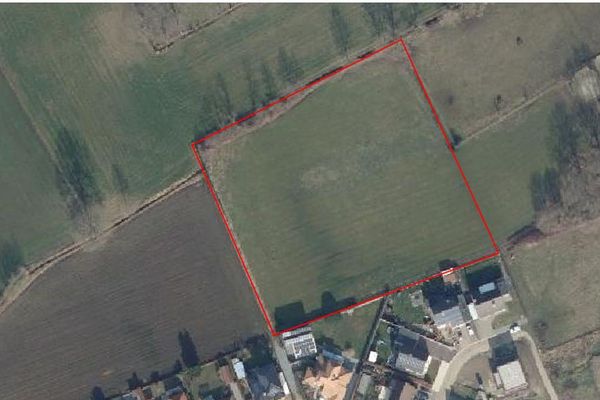 Weide
                            te koop in Tessenderlo