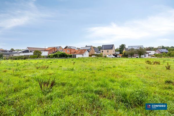 Grond te koop / Tongeren-Borgloon