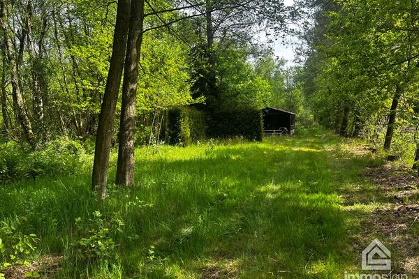 Grond
                            verkocht ov in Hamont-Achel