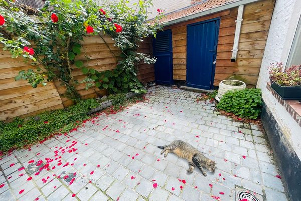Huis te koop / Brugge
