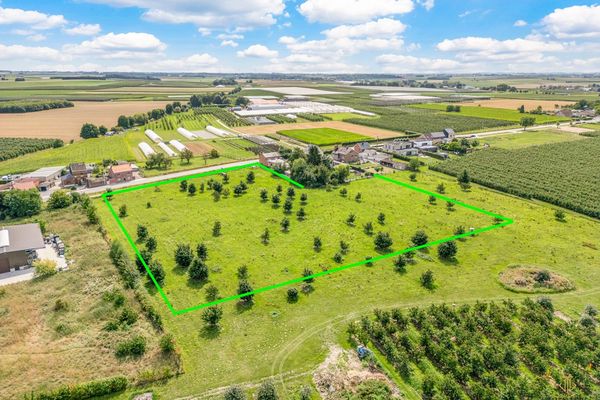 Landbouwgrond
                                te koop in Sint-Truiden