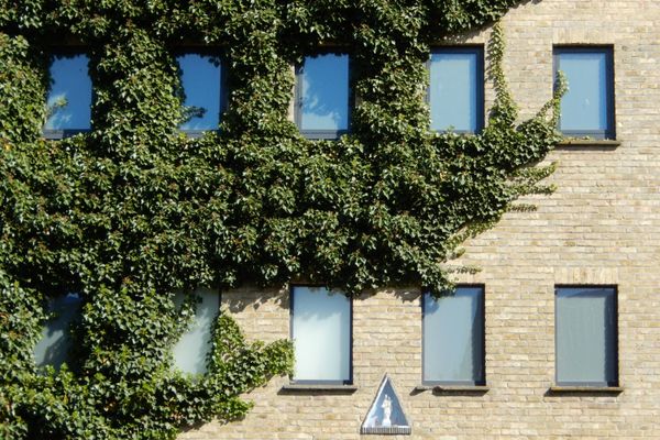 Appartement
                                te huur in Diksmuide